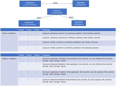 Gut microbiota’s role in glioblastoma risk, with a focus on the mediating role of metabolites